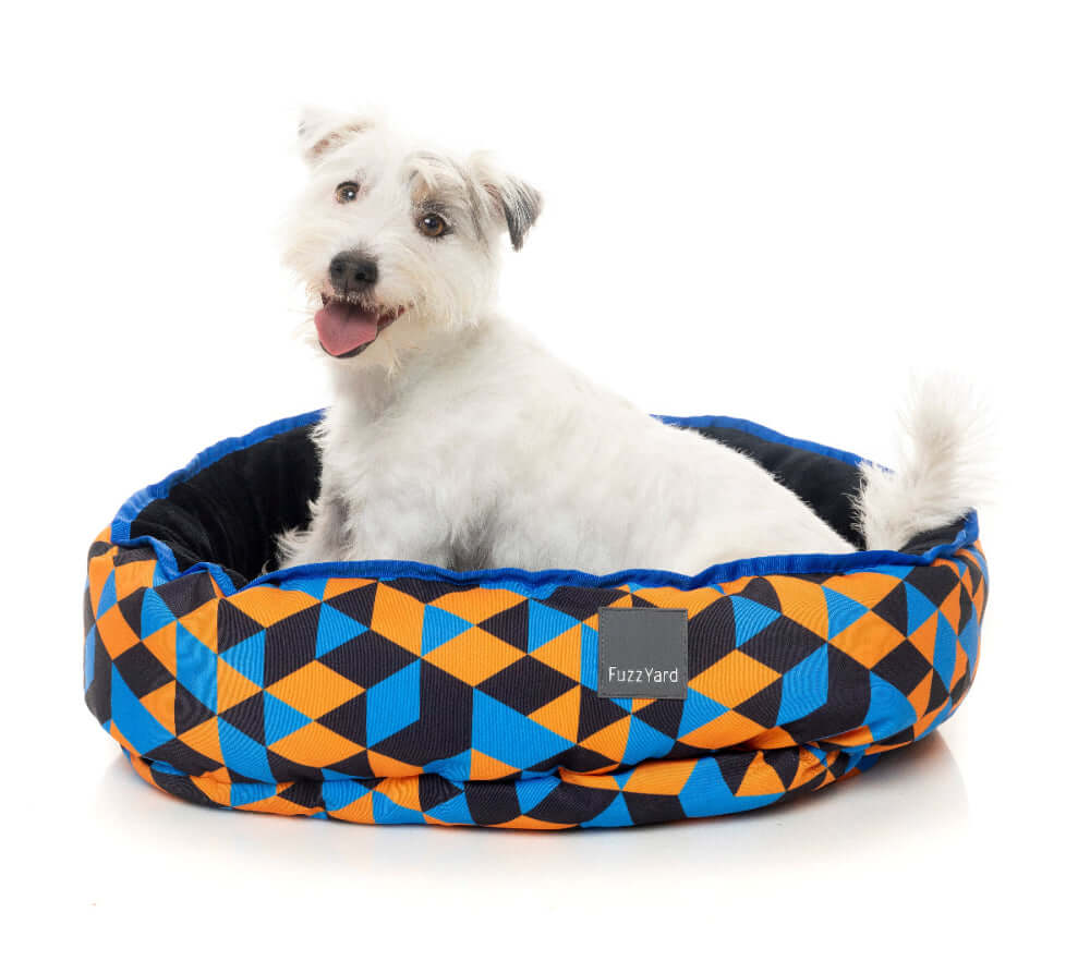 FuzzyardReversibleBed-Amsterdam