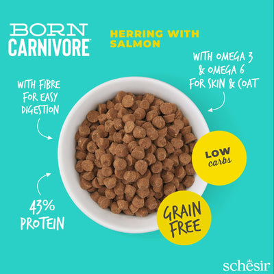 Schesir Born Carnivore Dry Cat Food - Herring & Salmon Recipe