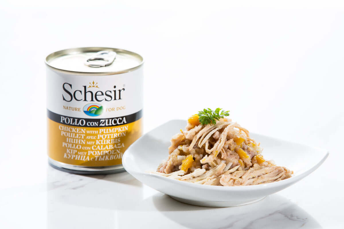 Schesir Chicken Pumpkin Rice Wet Dog Food - Digestive Health Recipe