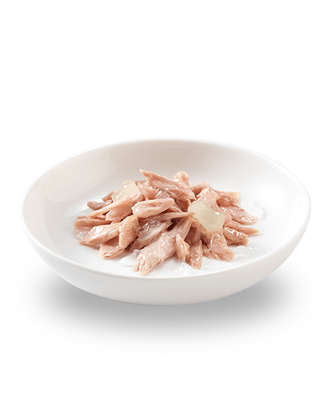 Close-up of Schesir kitten food showing tuna chunks in aloe jelly