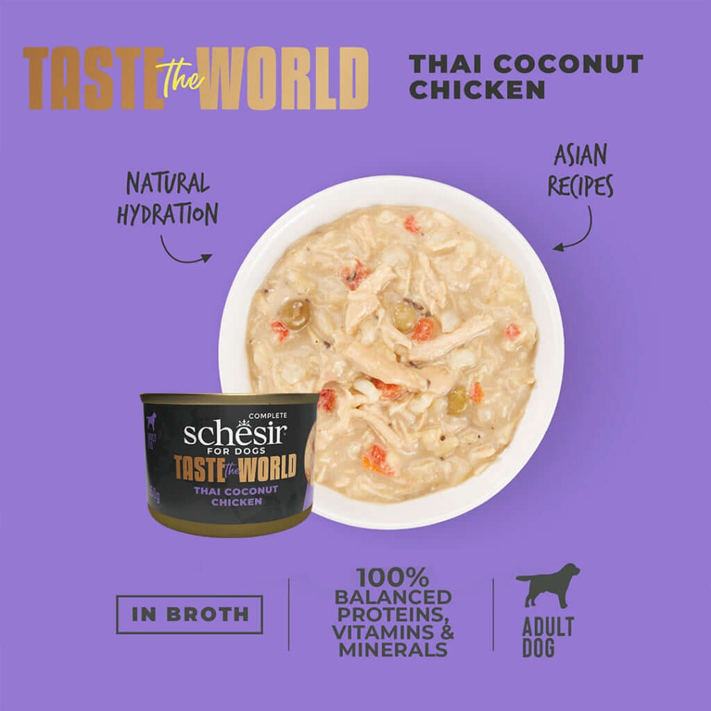 Schesir Chicken Thai Coconut Canned Dog Food - Exotic Recipe