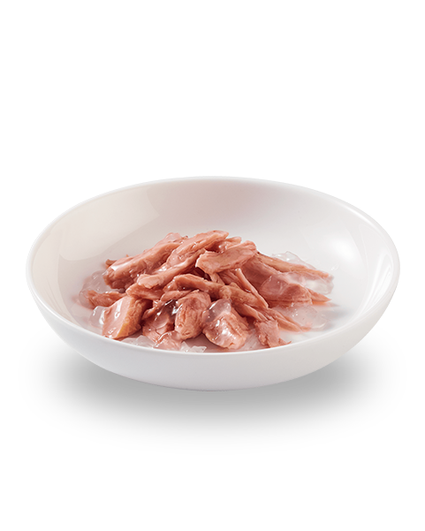 Schesir Tuna in natural jelly canned cat food with visible fish chunks