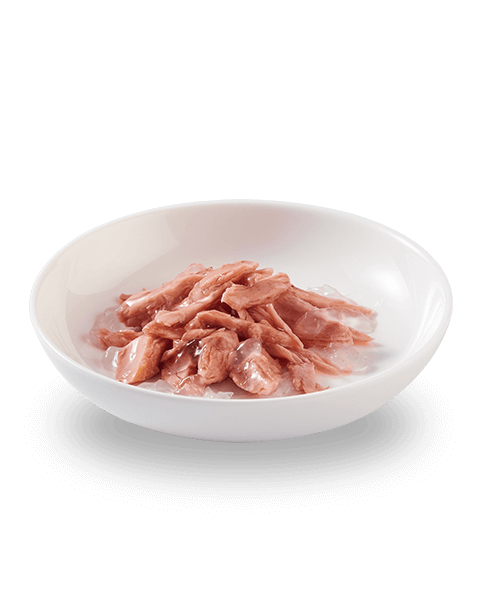 Schesir Tuna in natural jelly canned cat food with visible fish chunks