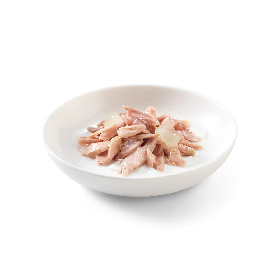 Schesir Tuna with Aloe Jelly canned wet cat food in gravy