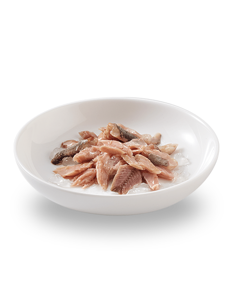 Close-up of tuna and pilchards chunks in natural jelly