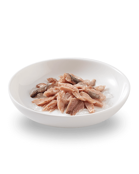 Close-up of tuna and pilchards chunks in natural jelly