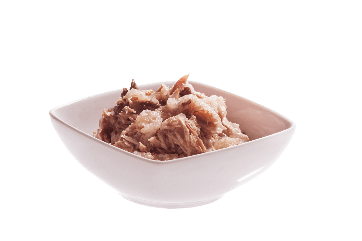 Schesir Tuna with Quinoa Jelly canned cat food