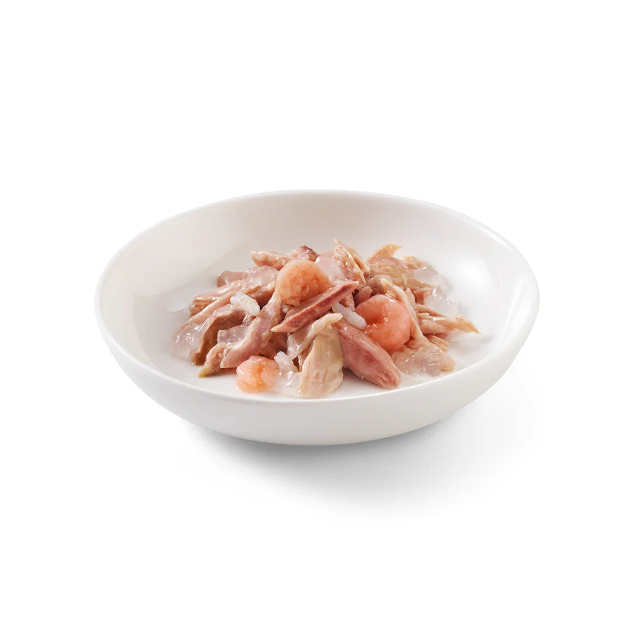 Schesir Tuna Shrimp Cat Food in Jelly - Premium Wet Food