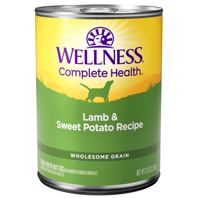 Wellness Complete Health Lamb & Sweet Potato Recipe canned dog food, 12.5 oz, nutritious and flavorful wet food.