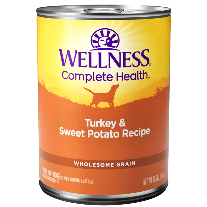 Wellness Complete Health Turkey & Sweet Potato Recipe canned dog wet food for healthy digestion and balanced nutrition.