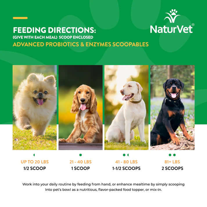 Feeding directions for NaturVet Advanced Probiotics & Enzymes Scoopables showing portion sizes for different dog weights.
