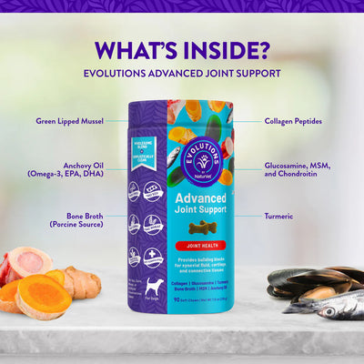 Evolutions Advanced Joint Support supplement bottle with ingredients listed on a gradient background