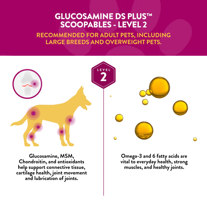 Infographic showing benefits of Glucosamine DS Plus for dogs, highlighting joint support and health ingredients.