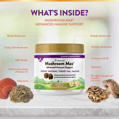 Mushroom Max Advanced Immune Support product with ingredients listed on a white background