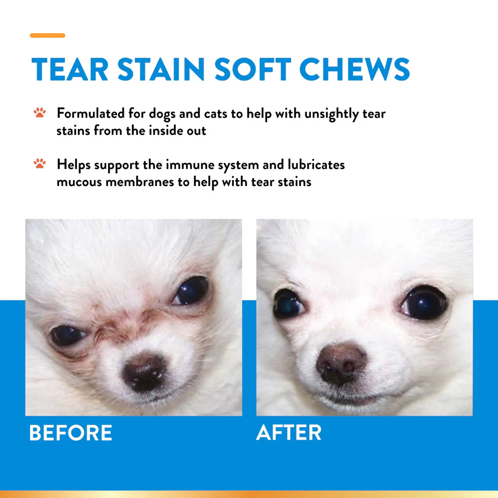 Advertisement for tear stain soft chews showing a dog before and after using the product.