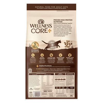 Wellness CORE+ Digestive Health Salmon Recipe dry cat food bag with high-protein nutrition for healthy digestion