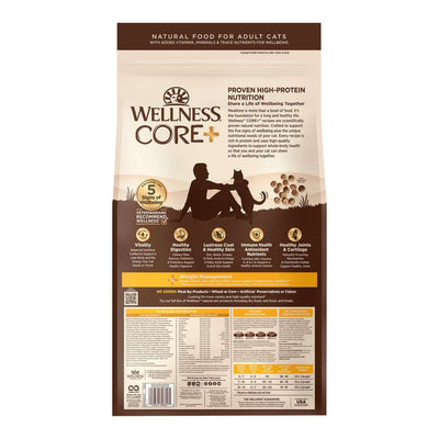 Wellness CORE+ Indoor Salmon & Herring Dry Cat Food bag, high-protein nutrition for healthy indoor cats.