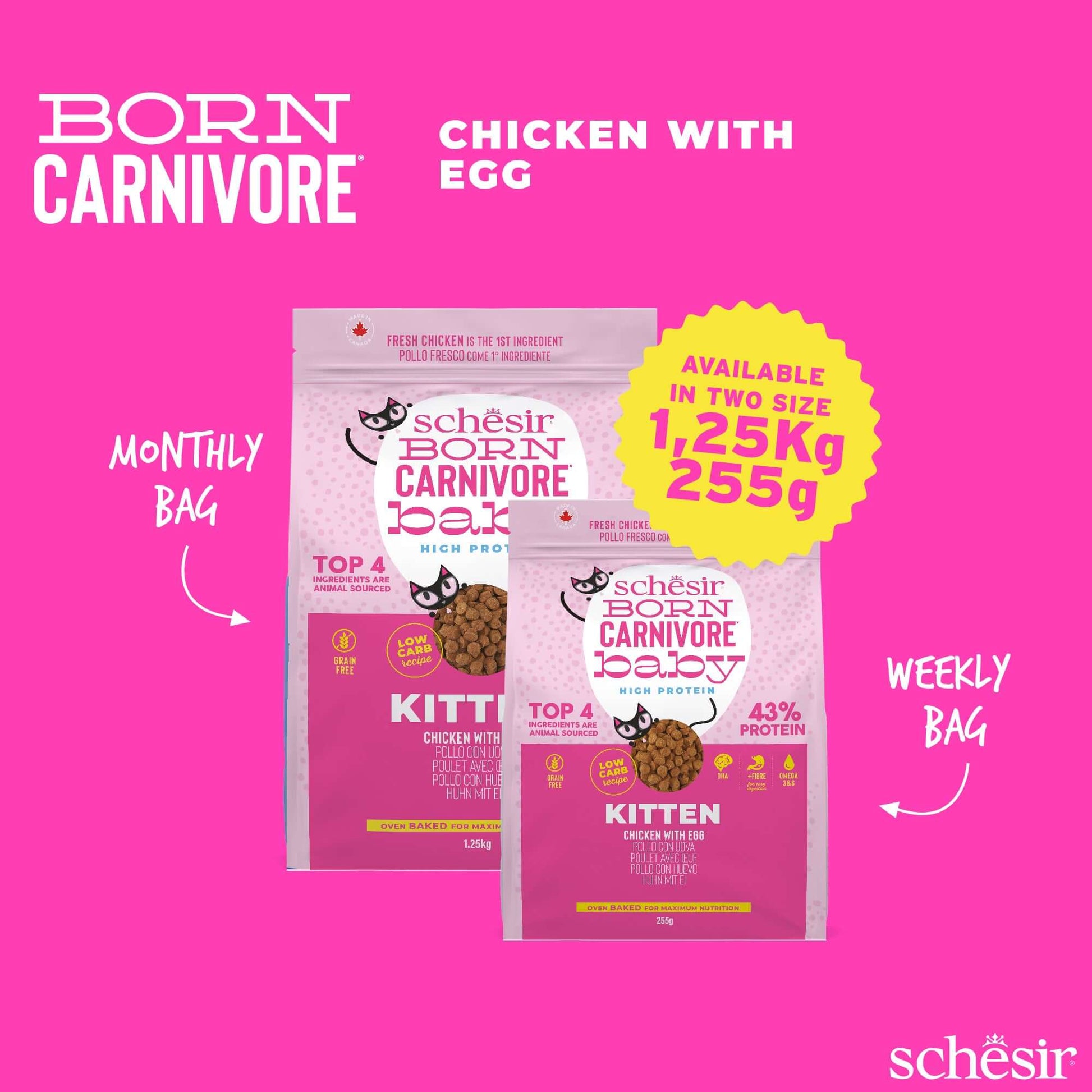 Schesir Born Carnivore Kitten Dry Food - Chicken & Egg Recipe