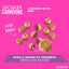 Schesir Born Carnivore Kitten Dry Food - Chicken & Egg Recipe