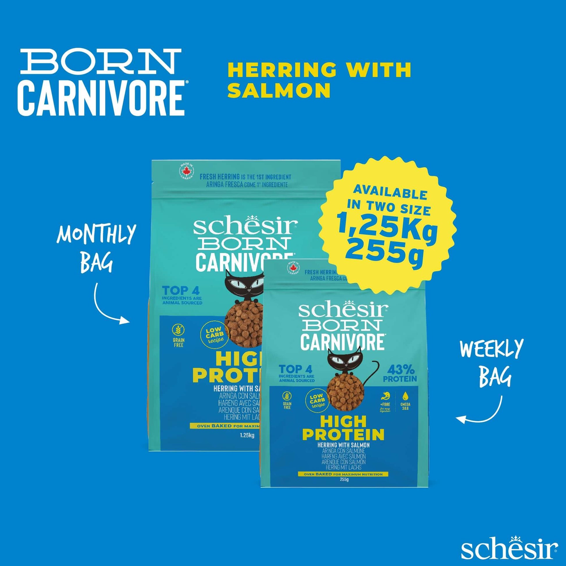 Schesir Born Carnivore Dry Cat Food - Herring & Salmon Recipe