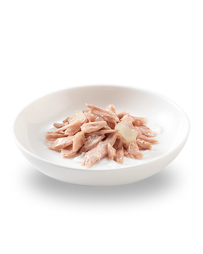 Close-up of Schesir kitten food showing tuna chunks in aloe jelly