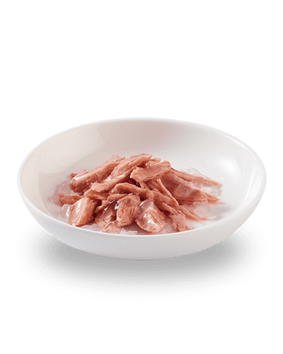 Schesir Tuna in natural jelly canned cat food with visible fish chunks