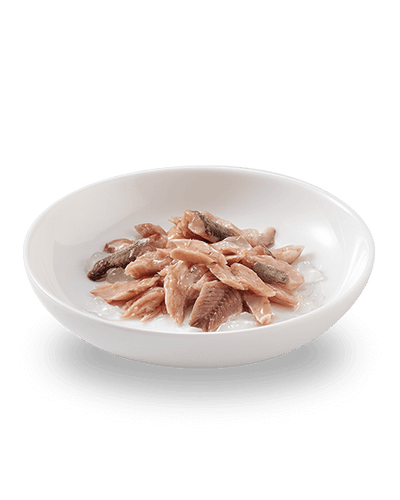 Close-up of tuna and pilchards chunks in natural jelly