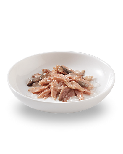 Close-up of tuna and pilchards chunks in natural jelly