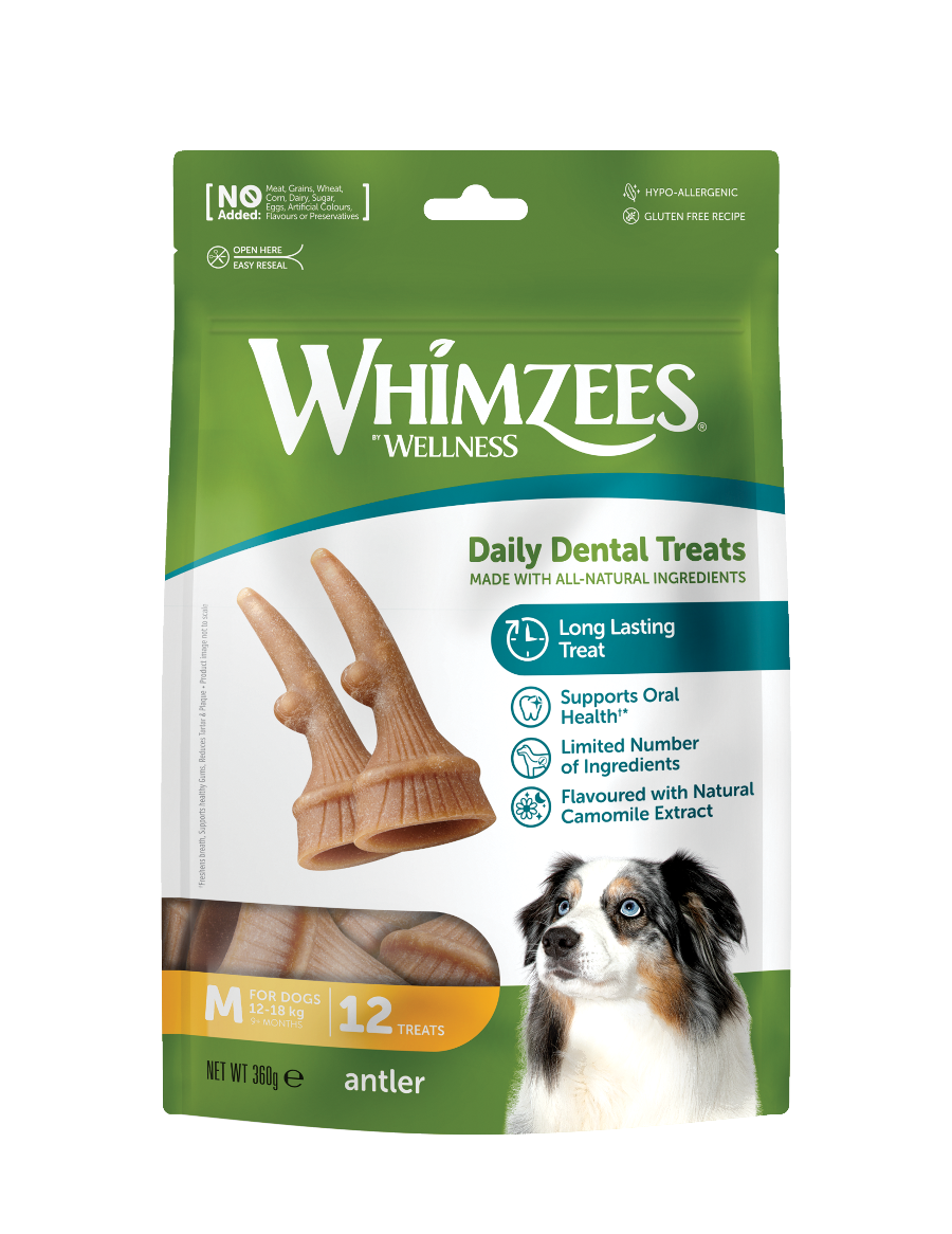 Whimzees Antler vegetarian dental chew treats for dogs' oral health