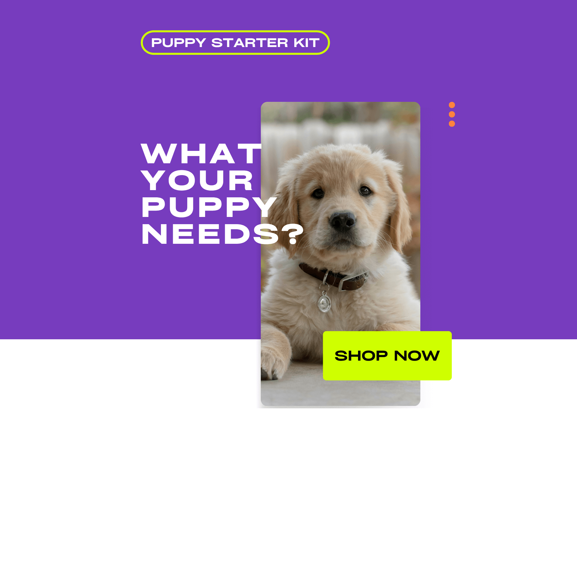 Promotional graphic for a puppy starter kit with a puppy photo and 'Shop Now' button on a purple background.