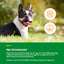 Dog sitting on grass with PB6 Technology text and icons about beneficial bacteria for dogs.
