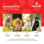 Directions for using NaturVet Allergy Aid Scoopables for dogs based on weight, with different scoop amounts for each size.