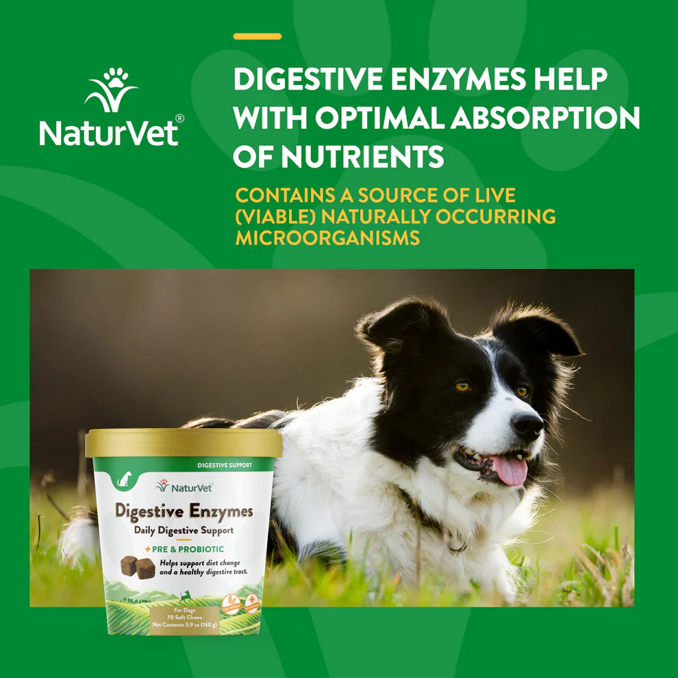 NaturVet Digestive Enzymes product with a dog in the background on a green background