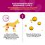 Infographic showing benefits of Glucosamine DS Plus for dogs, highlighting joint support and health ingredients.