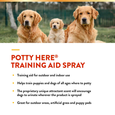 Three dogs sitting together with promotional text for Potty Here Training Aid Spray.