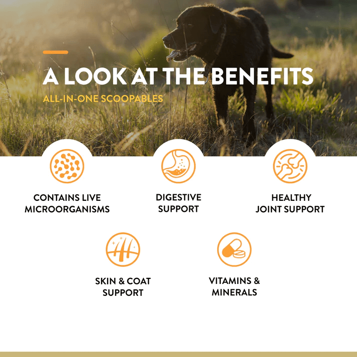 Benefits of NaturVet scoopables: live microorganisms, digestive support, joint health, skin & coat health, vitamins & minerals.