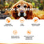 Dog with text 'A Look at the Benefits' and health benefits listed below.
