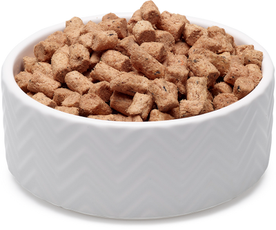 White bowl filled with brown pet food on a white background