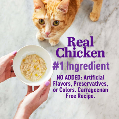Orange cat observing bowl of chicken mousse, emphasizing real chicken as the main ingredient, carrageenan-free recipe.