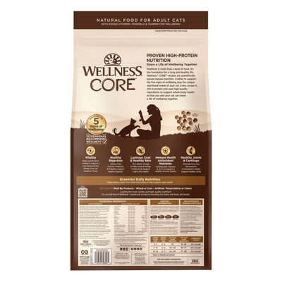 Wellness CORE Adult Turkey, Turkey Meal & Duck Dry Cat Food bag with high-protein formula for healthy cats.