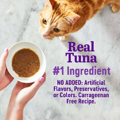 Hand holding a bowl of wet cat food with real tuna, featuring a curious orange cat in the background.