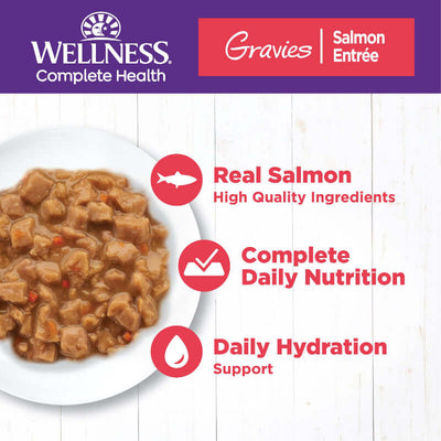 Wellness Complete Health Salmon Dinner canned cat food with real salmon, offering complete nutrition and daily hydration.